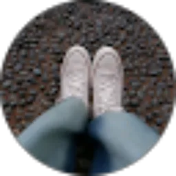 Review From The Beauty of Sushi