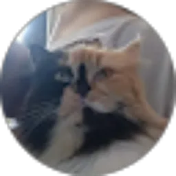 Review From Ariie Widodo