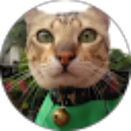 Review From Melly Moo