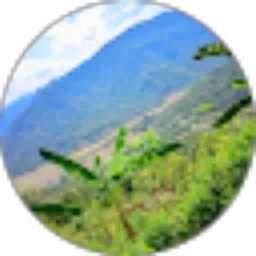 Review From Dimas Andriyan