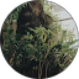 Review From Sri Wuryani