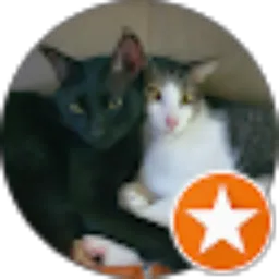 Review From febrina Valentin