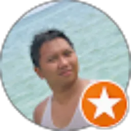 Review From koko pringadi