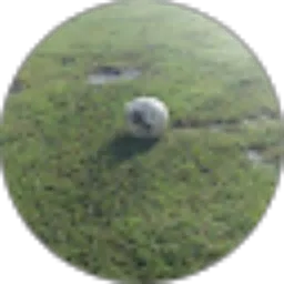 Review From Kadalupe lho