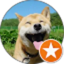 Review From Indri Lio