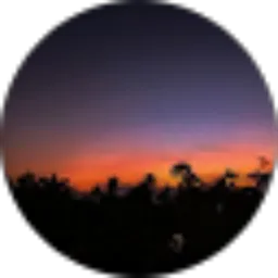 Review From Christmas Manro