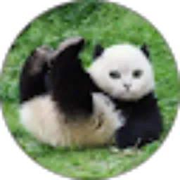 Review From Chafidzin affid