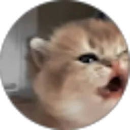 Review From Avelina Shelvi Naura