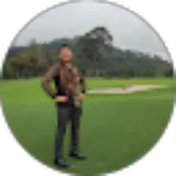 Review From Daman Marpaung