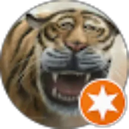 Review From Mang Rizwan Channel