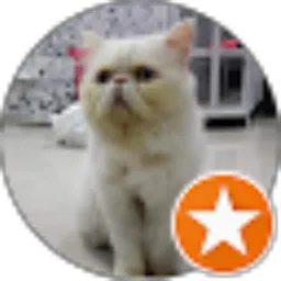 Review From Nura Ubaydillah