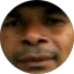 Review From Guinea Wilson