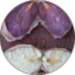 Review From Jaka Tingkir