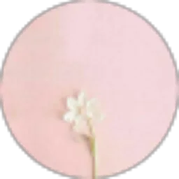 Review From Irna Wijana Imran