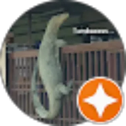 Review From ARI'x Newbie