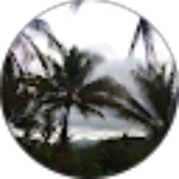 Review From Rizky Prayoga