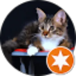 Review From Don Rizal