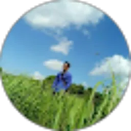 Review From ariz Munandar