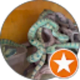 Review From Chandra Noprizal