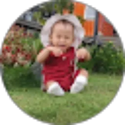 Review From TerBarra Barra