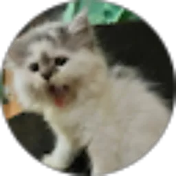 Review From Dicky Asmara