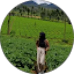 Review From 213_dina ayu puspita