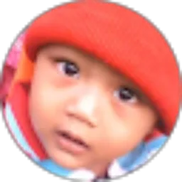 Review From ajib berhasil