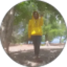 Review From adventia sulilatu piru 2004