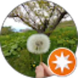 Review From Delzy “HimeHammie” Anna