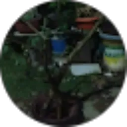 Review From abah khan