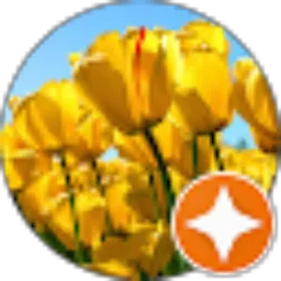 Review From Putri Agus Liani