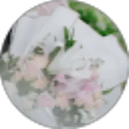 Review From Lala Salsabila