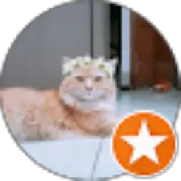 Review From Larasica