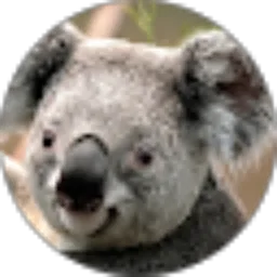 Review From Meli Susanti