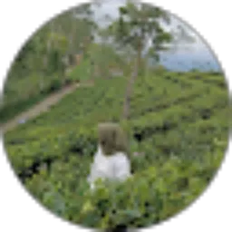 Review From Vivi Alviani