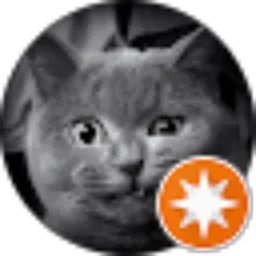 Review From Lukas Priyambodo