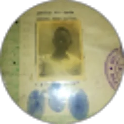 Review From Agus Busu