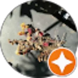 Review From Lila Istifarah Kusumaningrum