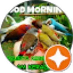 Review From Benny H.S