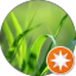 Review From Camplongan