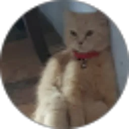 Review From Hanifah Khalishah