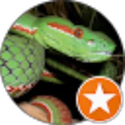 Review From Luna Nana