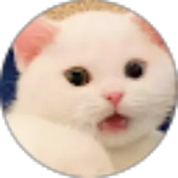 Review From Kartika Ayuningtyas