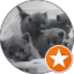 Review From Kenz Cathouse