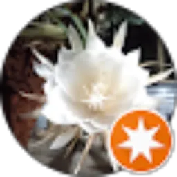 Review From Saepudin