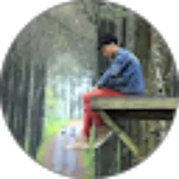 Review From Dedy Koesumodilogo