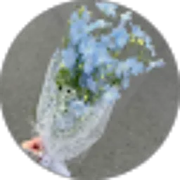 Review From Fenny Lorenza