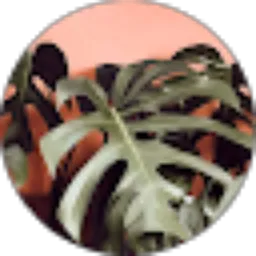 Review From Selda Mishelie