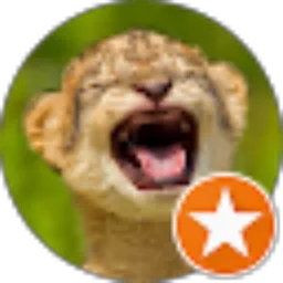 Review From paranoid thelast