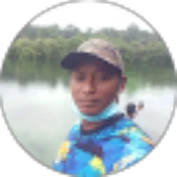 Review From ARFA SERVIS